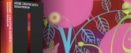 Adobe CreativeSuite CS4