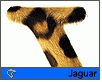 ts_jaguar_retail-nahled1.gif