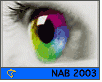 ts_nab2003-nahled1.gif