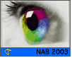 ts_nab2003-nahled3.gif